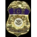 US IMMIGRATION AND CUSTOMS ENFORCEMENT ICE SPECIAL AGENT BADGE PIN